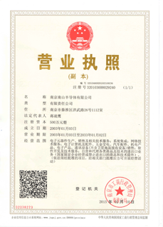 南京SG飞艇·(集团)营业执照